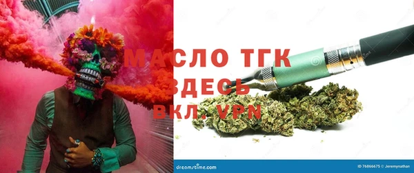 PSILOCYBIN Алзамай