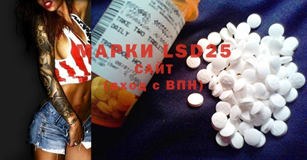PSILOCYBIN Алзамай