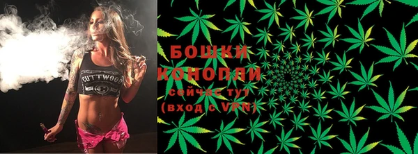 PSILOCYBIN Алексеевка