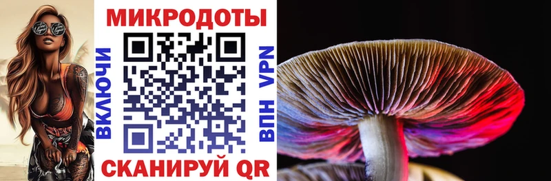 Псилоцибиновые грибы GOLDEN TEACHER  Новосиль 