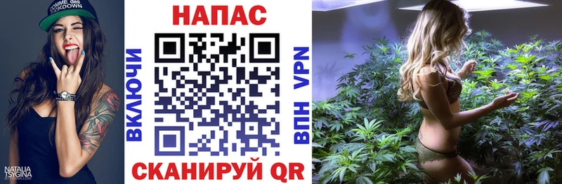 МАРИХУАНА OG Kush  OMG ссылки  Новосиль  где купить наркоту 